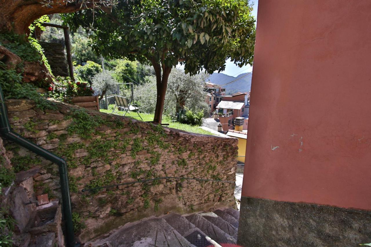 Mamaamelia Apartment Levanto Exterior photo